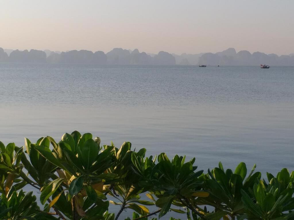 Cozy House Apartment Ha Long Luaran gambar
